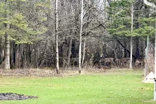 N15539 10th Ave, Park Falls, WI 54552 - Photo 35