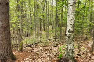 N9752 Wasko Ln, , WI 54143 - Photo 5