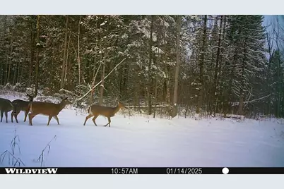 76557 Deringer Road, Glidden, WI 54527 - Photo 25