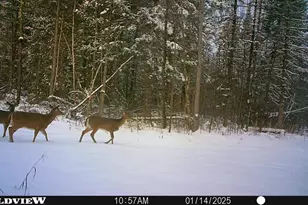 76557 Deringer Rd, Glidden, WI 54527 - Photo 25