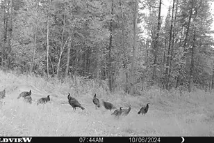 76557 Deringer Rd, Glidden, WI 54527 - Photo 27