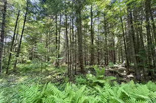 76557 Deringer Rd, Glidden, WI 54527 - Photo 31