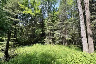 76557 Deringer Rd, Glidden, WI 54527 - Photo 37