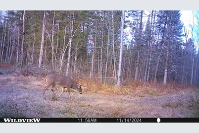 76557 Deringer Road, Glidden, WI 54527 - Photo 15