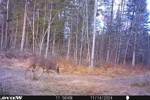 76557 Deringer Rd, Glidden, WI 54527 - Photo 15