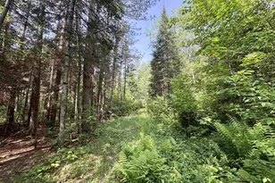 76557 Deringer Rd, Glidden, WI 54527 - Photo 33