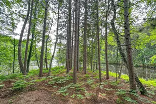 N8919 Island Rd, Phillips, WI 54555 - Photo 55