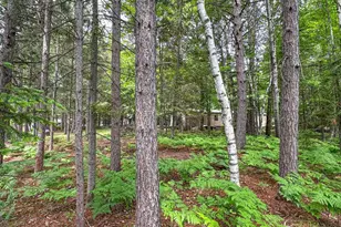 N8919 Island Rd, Phillips, WI 54555 - Photo 59