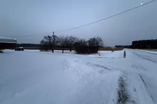 E1384 Wolf River Rd, Iola, WI 54945 - Photo 9