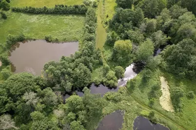 7185 Polish Road, Pittsville, WI 54466 - Photo 9