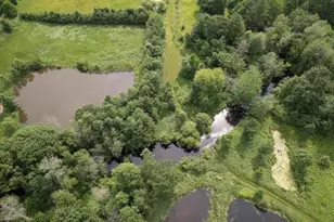 7185 Polish Rd, Pittsville, WI 54466 - Photo 9