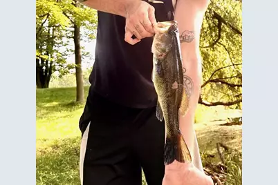 7185 Polish Road, Pittsville, WI 54466 - Photo 17