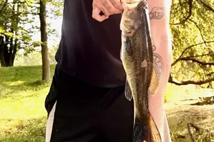 7185 Polish Rd, Pittsville, WI 54466 - Photo 17