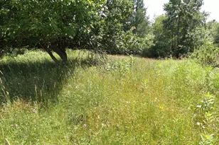 W4443 State Hwy 102, Westboro, WI 54490 - Photo 55