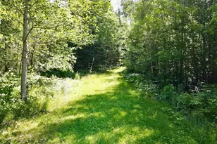 9072 N Grundy Rd, Tomahawk, WI 54487 - Photo 23