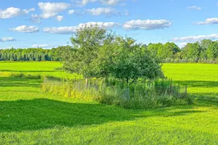 W2554 Co Rd D, Brantwood, WI 54513 - Photo 5