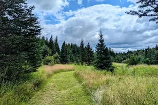 25598 Hwy 13, Glidden, WI 54527 - Photo 21