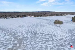 N475 Riviera Ave, Merrillan, WI 54754 - Photo 13