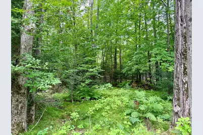 W6845 Disappearing Creek, Phillips, WI 54555 - Photo 23
