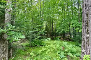 W6845 Disappearing Creek, Phillips, WI 54555 - Photo 23