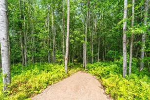 W7544 Buckets Ln, Medford, WI 54451 - Photo 55