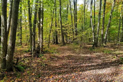 N3334 Oak Ridge Road #Lot B, Medford, WI 54451 - Photo 19