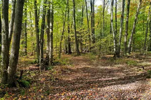 N3334 Oak Ridge Rd Lot B, Medford, WI 54451 - Photo 19