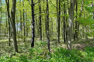 237687 N Troy St, Wausau, WI 54403 - Photo 57