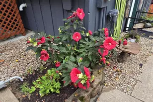 N7479 State Hwy 58, New Lisbon, WI 53950 - Photo 25