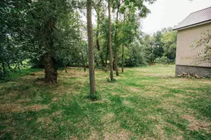 315 W Begley St, Greenwood, WI 54437 - Photo 5