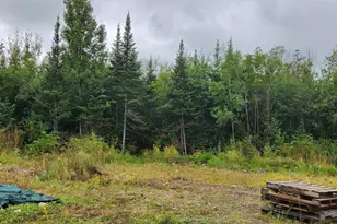 W12289 County Rd J, Deerbrook, WI 54424 - Photo 19