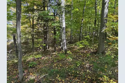 W9196 Birchwood Lane, Deerbrook, WI 54424 - Photo 39