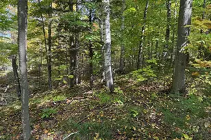 W9196 Birchwood Ln, Deerbrook, WI 54424 - Photo 39