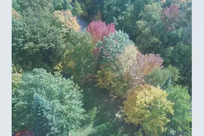 W9196 Birchwood Lane, Deerbrook, WI 54424 - Photo 19