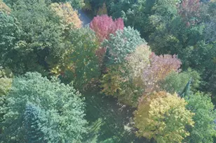 W9196 Birchwood Ln, Deerbrook, WI 54424 - Photo 19