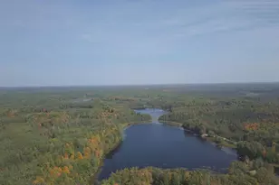 W9196 Birchwood Ln, Deerbrook, WI 54424 - Photo 11