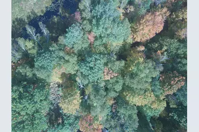 W9196 Birchwood Lane, Deerbrook, WI 54424 - Photo 9