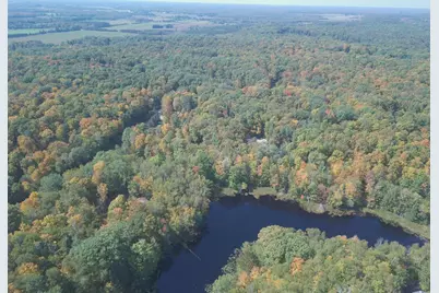 W9196 Birchwood Lane, Deerbrook, WI 54424 - Photo 13