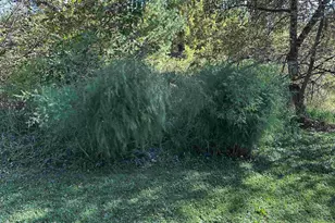 9873 E Anton Rd, Clintonville, WI 54929 - Photo 49