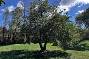 9873 E Anton Rd, Clintonville, WI 54929 - Photo 45