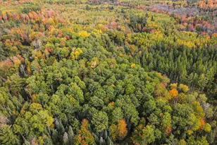 N12668 Hicks Landing Rd, Fifield, WI 54524 - Photo 17