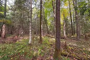 N12668 Hicks Landing Rd, Fifield, WI 54524 - Photo 5