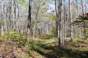 N8878 Blue Moon Ln, Westboro, WI 54490 - Photo 11