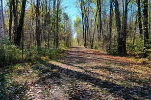 N8878 Blue Moon Ln, Westboro, WI 54490 - Photo 15