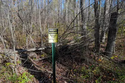 N8878 Blue Moon Lane, Westboro, WI 54490 - Photo 11