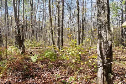 N8878 Blue Moon Lane, Westboro, WI 54490 - Photo 13