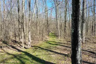 N8878 Blue Moon Ln, Westboro, WI 54490 - Photo 15