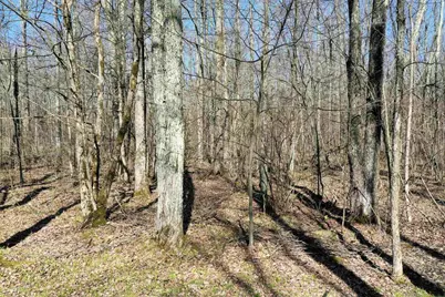 N8878 Blue Moon Lane, Westboro, WI 54490 - Photo 13