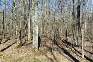 N8878 Blue Moon Ln, Westboro, WI 54490 - Photo 13