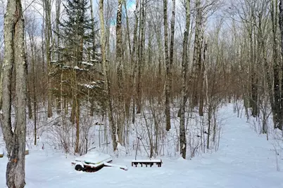 N8878 Blue Moon Lane, Westboro, WI 54490 - Photo 9